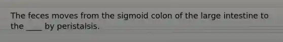 The feces moves from the sigmoid colon of the large intestine to the ____ by peristalsis.