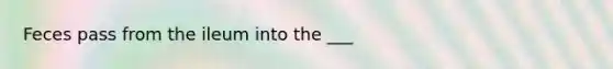 Feces pass from the ileum into the ___