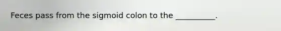 Feces pass from the sigmoid colon to the __________.