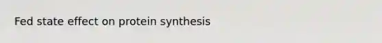 Fed state effect on protein synthesis