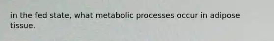 in the fed state, what metabolic processes occur in adipose tissue.