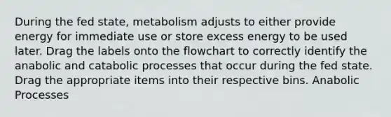 During the fed state, metabolism adjusts to either provide energy for immediate use or store excess energy to be used later. Drag the labels onto the flowchart to correctly identify the anabolic and catabolic processes that occur during the fed state. Drag the appropriate items into their respective bins. Anabolic Processes