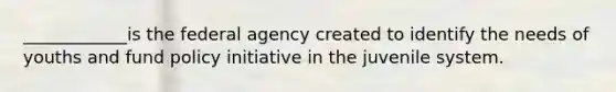 ____________is the federal agency created to identify the needs of youths and fund policy initiative in the juvenile system.