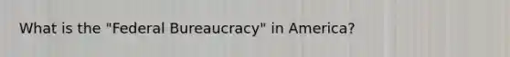 What is the "Federal Bureaucracy" in America?