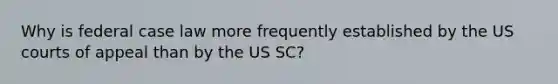 Why is federal case law more frequently established by the US courts of appeal than by the US SC?