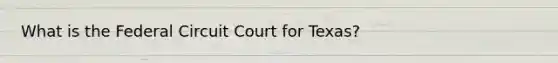 What is the Federal Circuit Court for Texas?