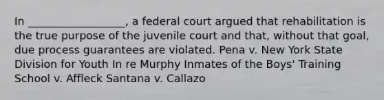 In __________________, a federal court argued that rehabilitation is the true purpose of the juvenile court and that, without that goal, due process guarantees are violated. Pena v. New York State Division for Youth In re Murphy Inmates of the Boys' Training School v. Affleck Santana v. Callazo