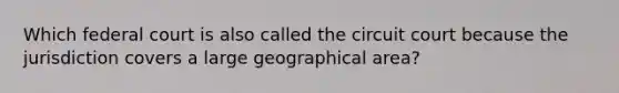 Which federal court is also called the circuit court because the jurisdiction covers a large geographical area?