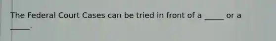 The Federal Court Cases can be tried in front of a _____ or a _____.