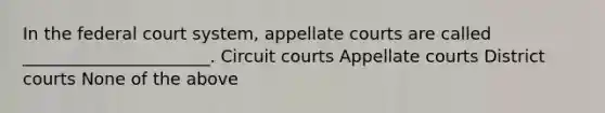 In the federal court system, appellate courts are called ______________________. Circuit courts Appellate courts District courts None of the above