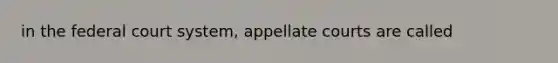 in the federal court system, appellate courts are called