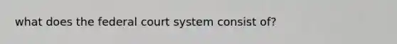 what does the federal court system consist of?