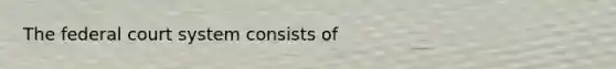 The federal court system consists of