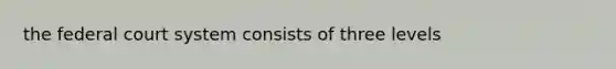 the federal court system consists of three levels