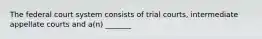 The federal court system consists of trial courts, intermediate appellate courts and a(n) _______
