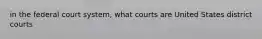 in the federal court system, what courts are United States district courts