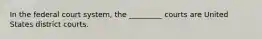 In the federal court system, the _________ courts are United States district courts.