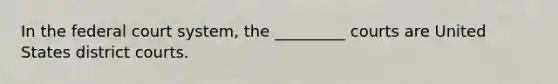 In the federal court system, the _________ courts are United States district courts.