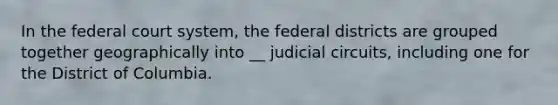 In the federal court system, the federal districts are grouped together geographically into __ judicial circuits, including one for the District of Columbia.