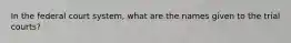 In the federal court system, what are the names given to the trial courts?