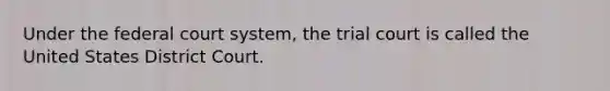 Under the federal court system, the trial court is called the United States District Court.