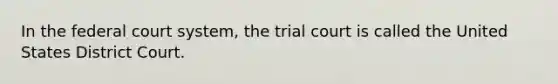 In the federal court system, the trial court is called the United States District Court.