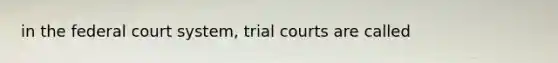 in the federal court system, trial courts are called