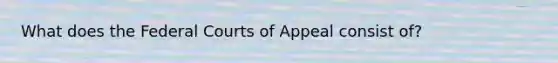 What does the Federal Courts of Appeal consist of?