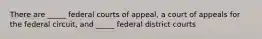 There are _____ federal courts of appeal, a court of appeals for the federal circuit, and _____ federal district courts