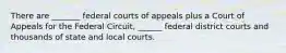 There are _______ federal courts of appeals plus a Court of Appeals for the Federal Circuit, ______ federal district courts and thousands of state and local courts.