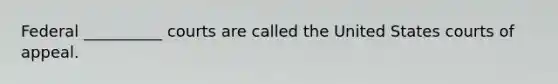 Federal __________ courts are called the United States courts of appeal.