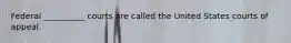 Federal __________ courts are called the United States courts of appeal.‎