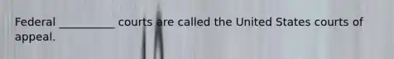 Federal __________ courts are called the United States courts of appeal.‎