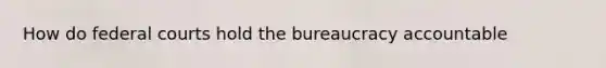 How do federal courts hold the bureaucracy accountable