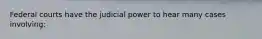 Federal courts have the judicial power to hear many cases involving: