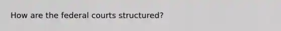 How are the federal courts structured?