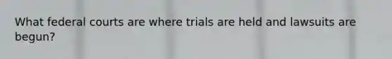 What federal courts are where trials are held and lawsuits are begun?