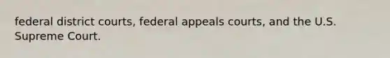 federal district courts, federal appeals courts, and the U.S. Supreme Court.