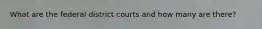 What are the federal district courts and how many are there?