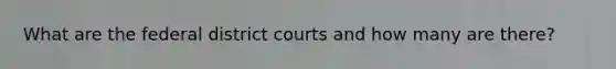 What are the federal district courts and how many are there?