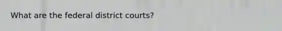 What are the federal district courts?