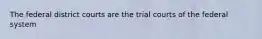 The federal district courts are the trial courts of the federal system