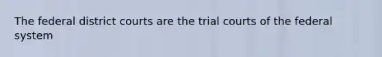 The federal district courts are the trial courts of the federal system