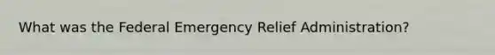 What was the Federal Emergency Relief Administration?