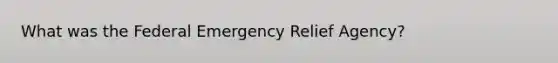 What was the Federal Emergency Relief Agency?