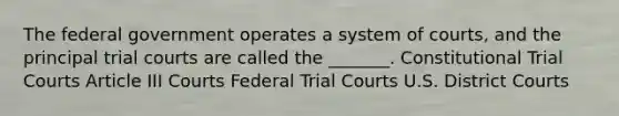 The federal government operates a system of courts, and the principal trial courts are called the _______. Constitutional Trial Courts Article III Courts Federal Trial Courts U.S. District Courts