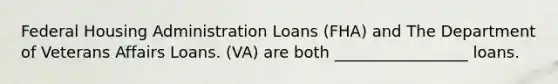 Federal Housing Administration Loans (FHA) and The Department of Veterans Affairs Loans. (VA) are both _________________ loans.