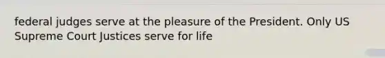 federal judges serve at the pleasure of the President. Only US Supreme Court Justices serve for life