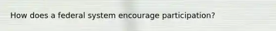 How does a federal system encourage participation?