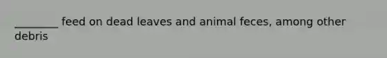 ________ feed on dead leaves and animal feces, among other debris